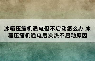 冰箱压缩机通电但不启动怎么办 冰箱压缩机通电后发热不启动原因